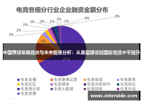 中国棒球发展现状与未来前景分析：从基层建设到国际竞技水平提升