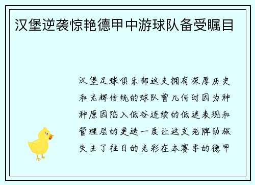 汉堡逆袭惊艳德甲中游球队备受瞩目