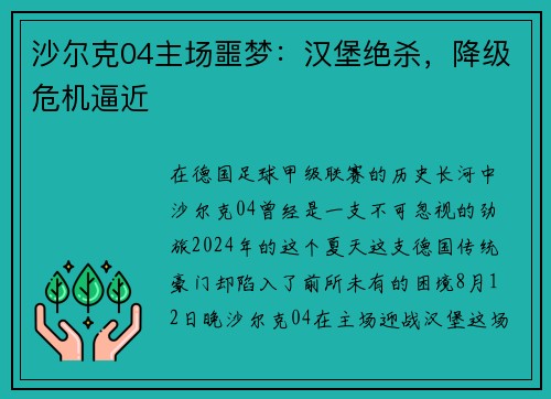 沙尔克04主场噩梦：汉堡绝杀，降级危机逼近